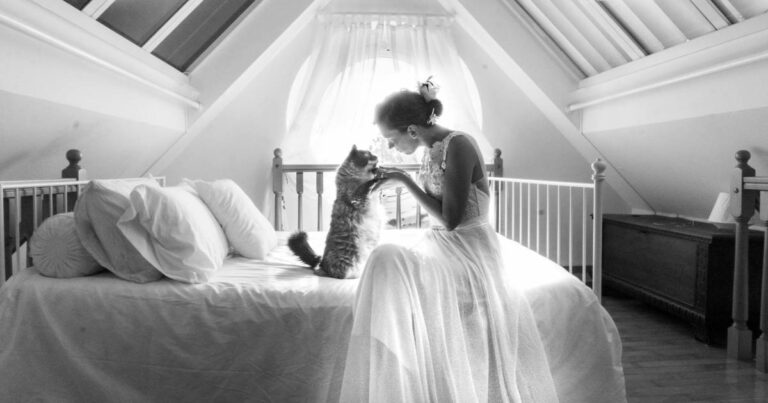 Φωτογράφος απαθανατίζει νύφες με τις γάτες τους λίγο πριν τον γάμο τους