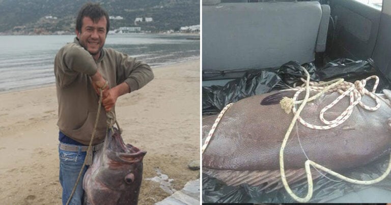 Ψαράς στη Σίφνο έπιασε δύο ψάρια βάρους 105 κιλών