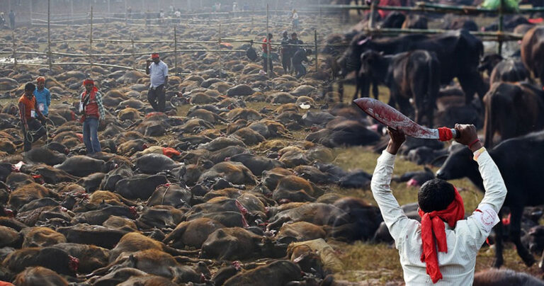 Η μέρα που σφάχτηκαν άγρια 250.000 ζώα για να ικανοποιήσουν μια Θεά