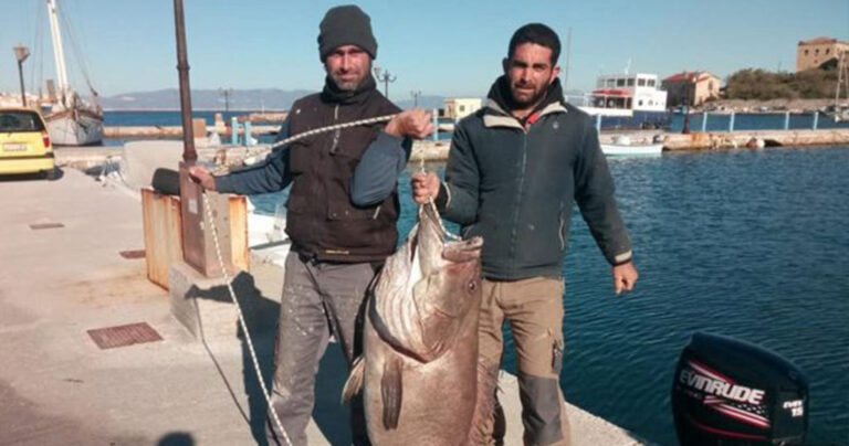 Έπιασαν με καλάμι ψάρι 63 κιλών στην Σύρο