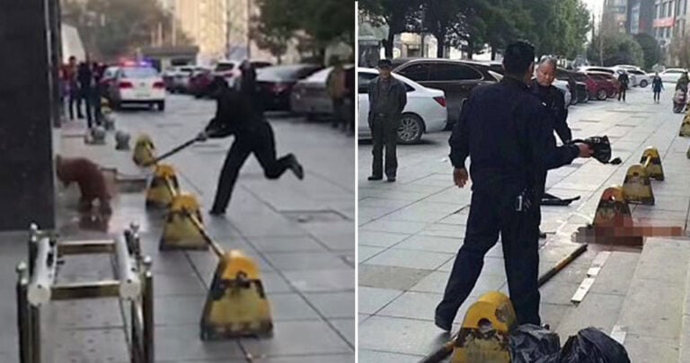 Αστυνομικός χτυπά μέχρι θανάτου σκύλο που επιτέθηκε σε πεζούς στην Κίνα