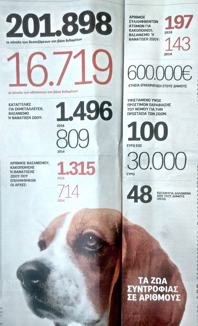 Χάδι για τα ζώα, χαστούκι για τους ασυνείδητους ιδιοκτήτες 2 d4dd63b020f4cf0ce49695adada89499