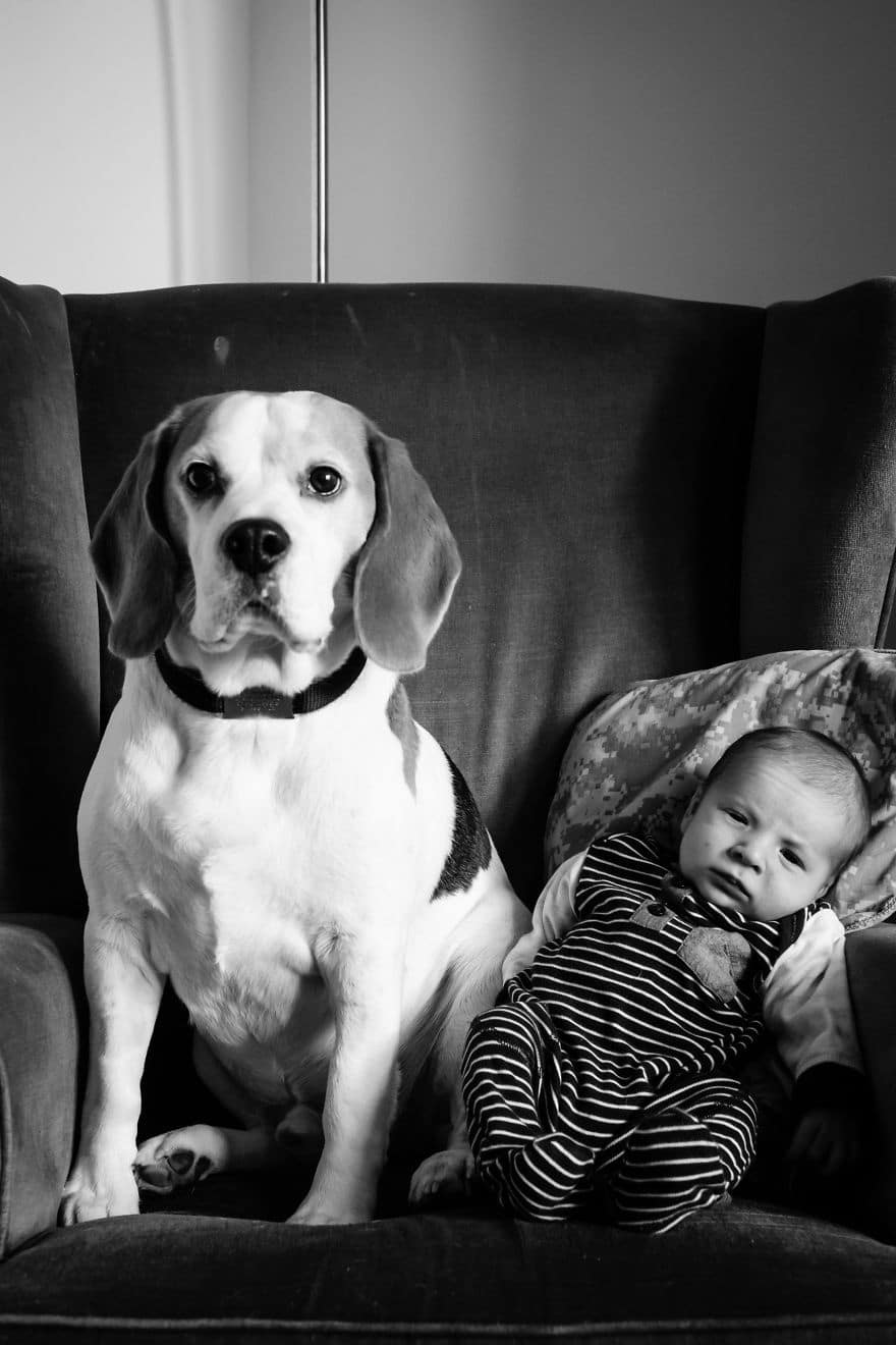 the beagle and the boy stanley and jasper friends for life 2017 5a4b4931a8647 880
