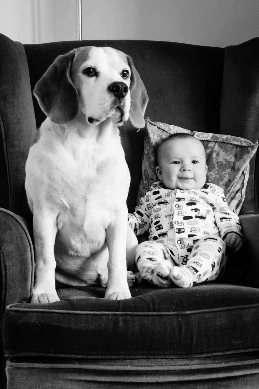 the beagle and the boy stanley and jasper friends for life 2017 5a4b4957b1e17 880