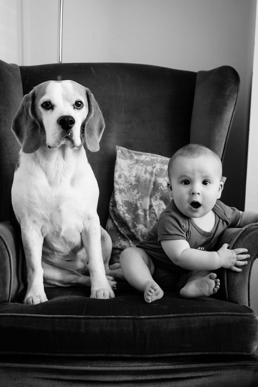 the beagle and the boy stanley and jasper friends for life 2017 5a4b497954b4d 880