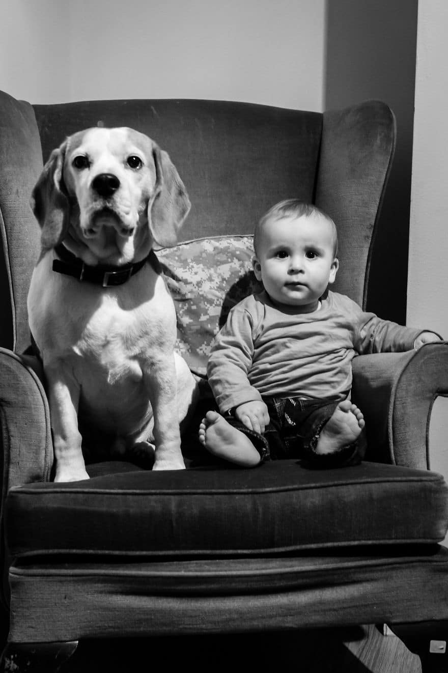 the beagle and the boy stanley and jasper friends for life 2017 5a4b499f14cc3 880