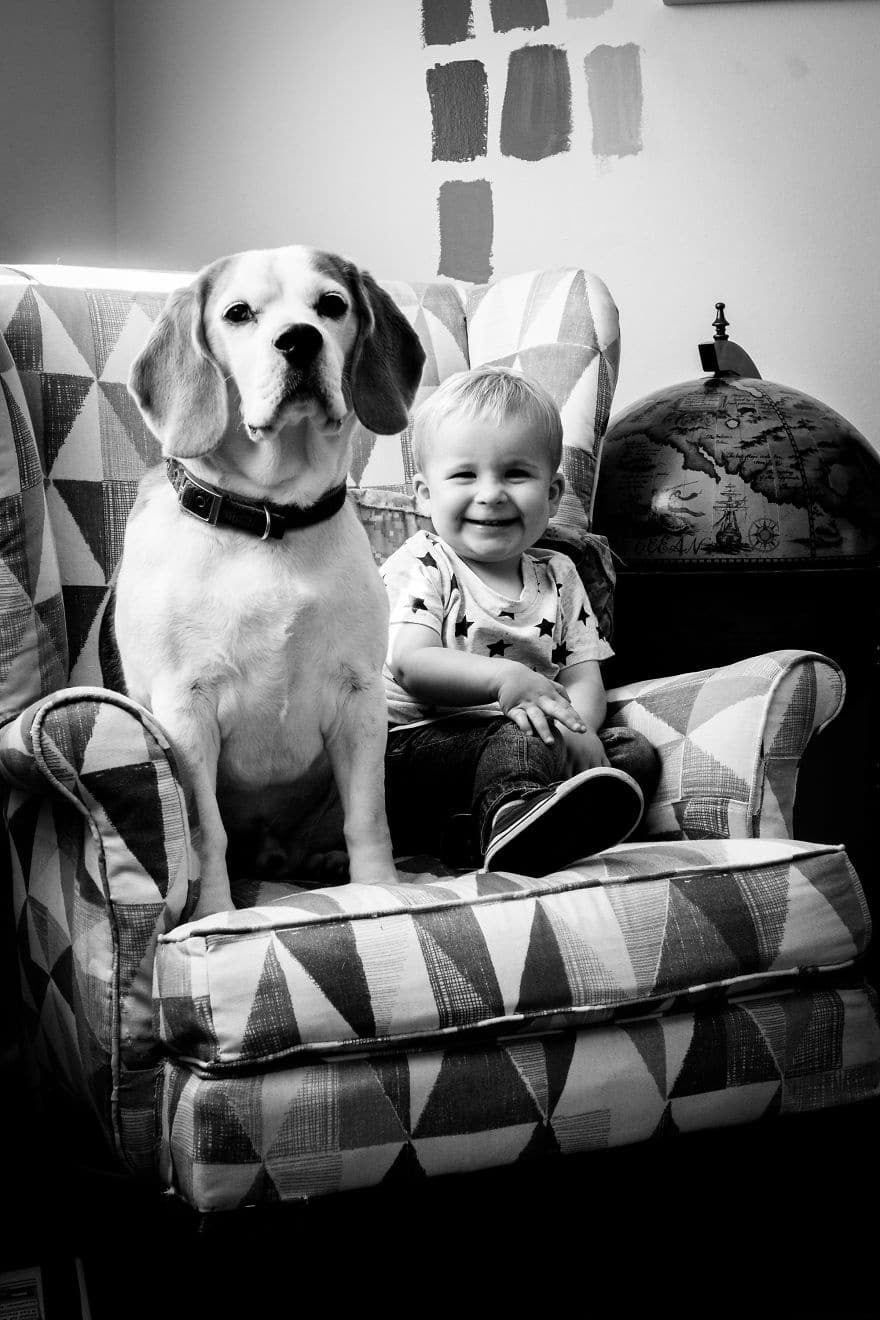 the beagle and the boy stanley and jasper friends for life 2017 5a4b4a0646c4e 880