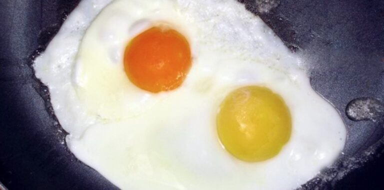 Ποιος από τους παρακάτω κρόκους αυγών σας φαίνεται πιο φυσιολογικός;