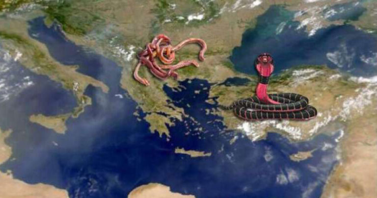 Σκόπια, Τουρκία, Αλβανία: Ολομέτωπη «επίθεση» στην Ελλάδα που παρακολουθεί Novartis