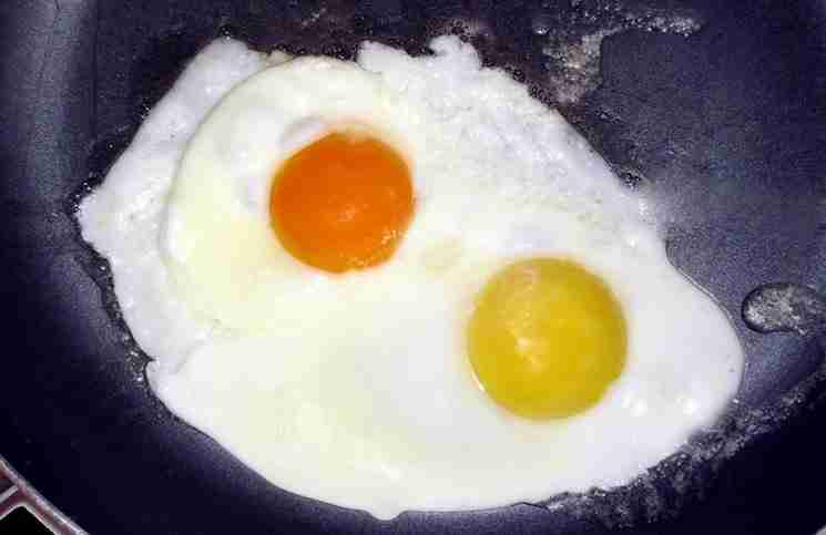 Ποιος από τους παρακάτω κρόκους αυγών σας φαίνεται πιο φυσιολογικός;