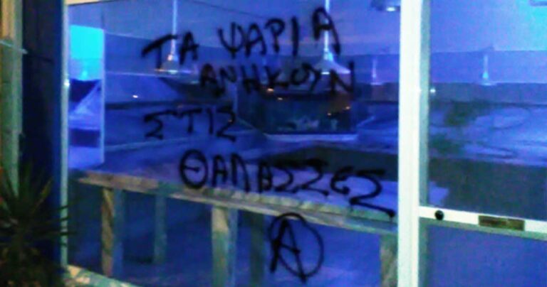 Χορτοφάγοι αναρχικοί στα Ιωάννινα έκαναν επίθεση και σε ιχθυοπωλείο
