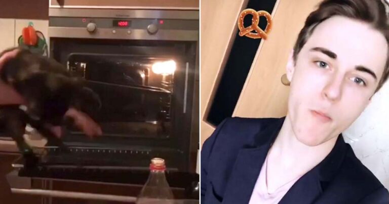 18χρονος πετάει γατάκι μέσα σε αναμμένο φούρνο