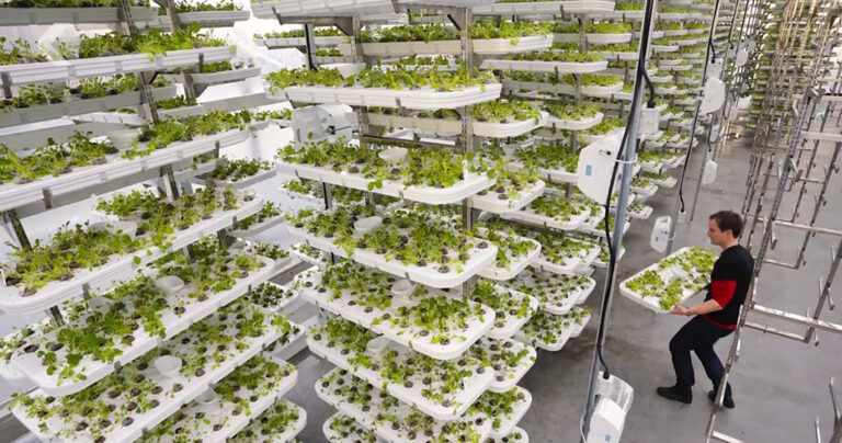 Φάρμα καλλιεργεί φυτά χωρίς χώμα και νερό