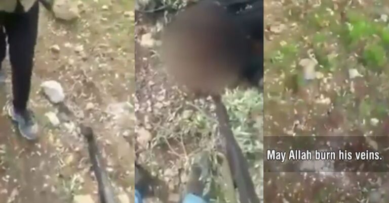 Σκυλεύουν πτώματα Κούρδων στην Αφρίν οι τζιχαντιστές σύμμαχοι των Τούρκων