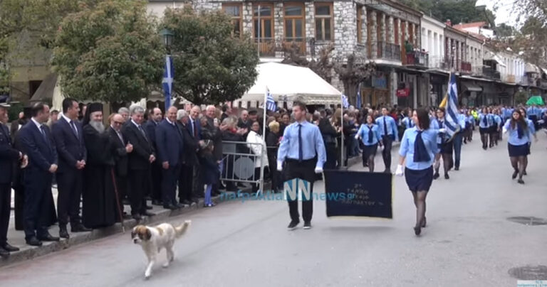 Σκύλος έκανε παρέλαση με καμάρι στην Ναύπακτο και έκλεψε τις εντυπώσεις