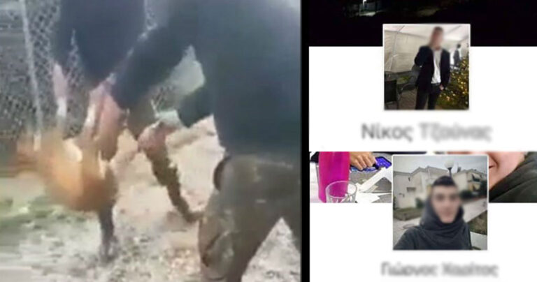 Στρατιώτες για κακοποίηση σκύλου: «Το φροντίζαμε καθημερινά, ήταν ένα ατυχές συμβάν»