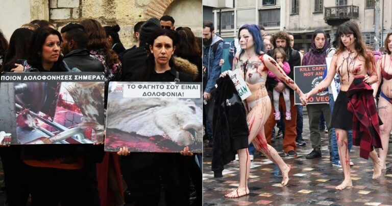 Πανελλαδική διαμαρτυρία στην Αθήνα για τα δικαιώματα των ζώων