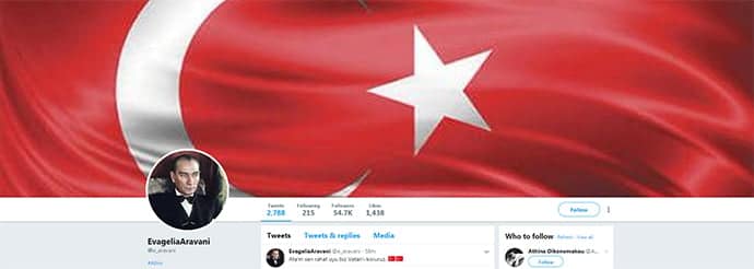 Ευαγγελία Αραβανή - Τούρκοι εθνικιστές - χάκερς - twitter