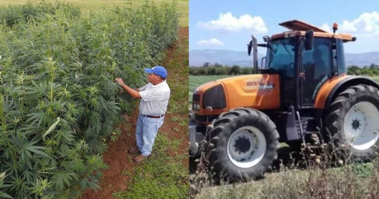 Nόμιμη η καλλιέργεια και η εξαγωγή φαρμακευτικής κάνναβης στην Ελλάδα