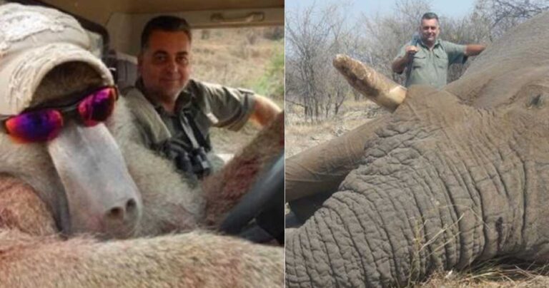 Έλληνας κυνηγός ποζάρει με χαμόγελο δίπλα σε νεκρά άγρια ζώα και εξοργίζει