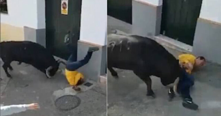 Ισπανός πέθανε από επίθεση ταύρου κατά την διάρκεια φεστιβάλ ταυρομαχίας