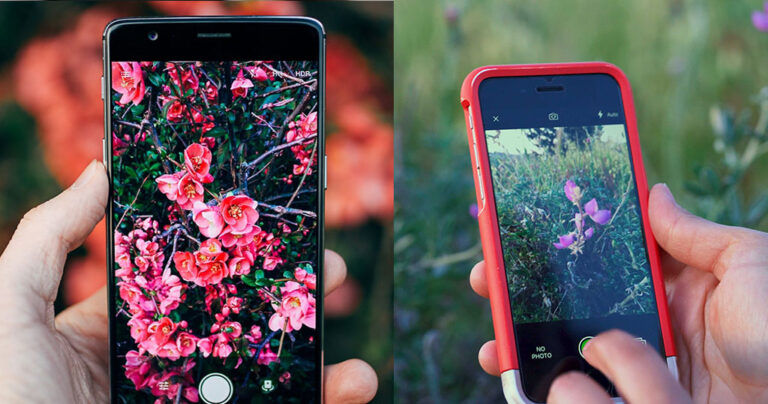 Tο «Shazam» του φυσικού κόσμου: Εφαρμογή αναγνωρίζει λουλούδια, φυτά και ζώα