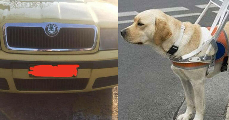 Ταξιτζής πέταξε έξω από όχημα 2 παιδιά με πρόβλημα όρασης όταν είδε τον σκύλο-συνοδό