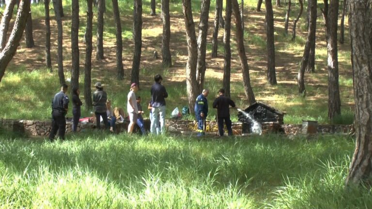 Λέσβος: Μετανάστες πήγαν για μπάρμπεκιου σε άλσος και έβαλαν φωτιά