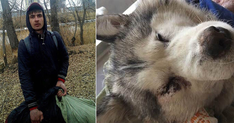 Άντρας έσφαξε και έγδαρε σκύλο για να πουλήσει το κρέας του για κεμπάπ