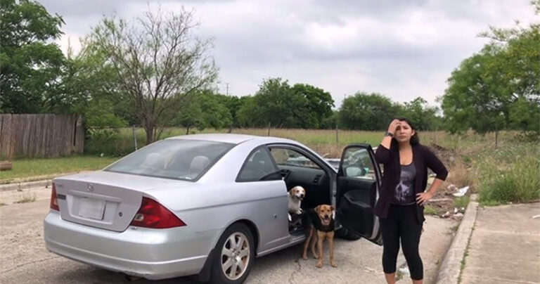 Γυναίκα πιάνεται επ’ αυτοφώρω να εγκαταλείπει τα 4 σκυλιά της