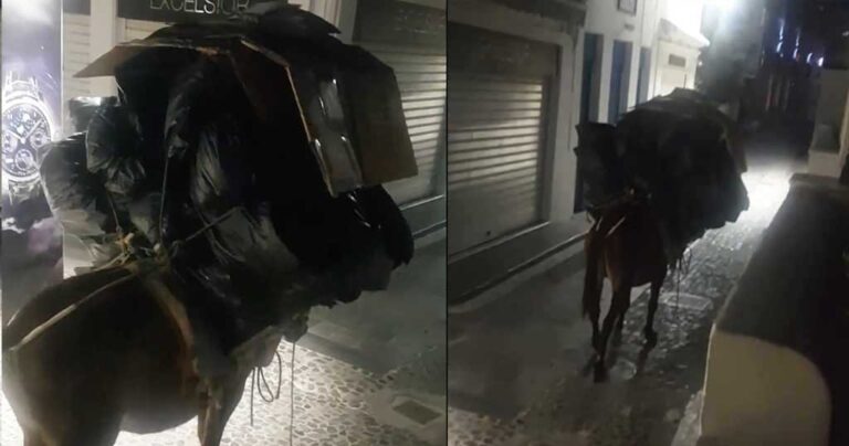 Σαντορίνη: Φόρτωσαν γάιδαρο με ότι περισσότερο μπορούσαν και το ζώο μετά βιας κινείται
