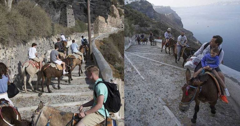 «Βασανίζουν τα γαϊδουράκια»: Βρετανική εφημερίδα κράζει την Σαντορίνη