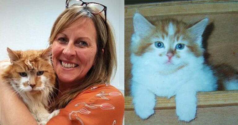 Ο μεγαλύτερος γάτος του κόσμου γιόρτασε τα 30α του γενέθλια