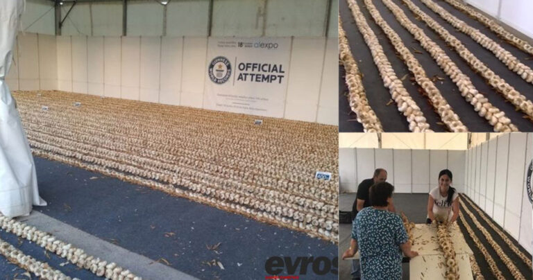 Ορεστιάδα: Έφτιαξαν πλεξούδα με σκόρδα 612 μέτρων και έσπασαν το Ρεκόρ Γκίνες