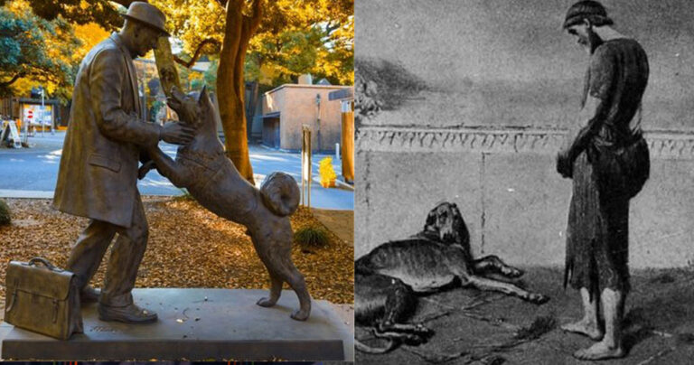 6 σκύλοι που έμειναν στην ιστορία και δίδαξαν αλτρουισμό, πίστη και αφοσίωση