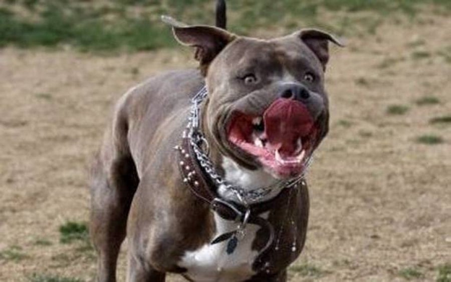 5a862af8ce640b290e7329cf6d0f867b