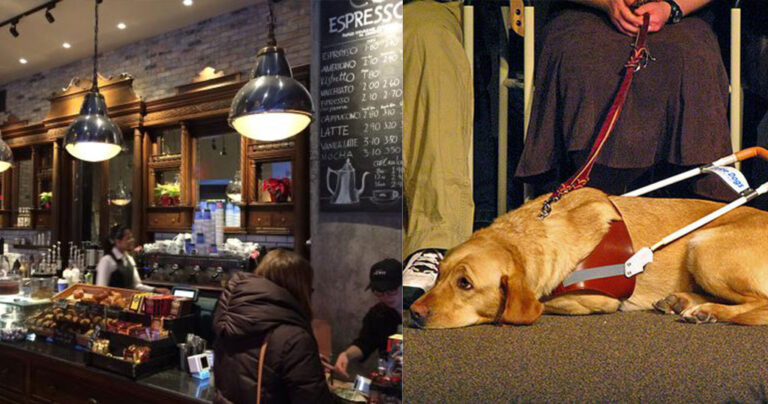 Καφετέρια αρνήθηκε να δώσει νερό σε σκύλο-οδηγό