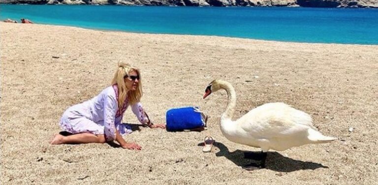 Η Μενεγάκη πήγε για μπάνιο και φωτογραφήθηκε με έναν κύκνο
