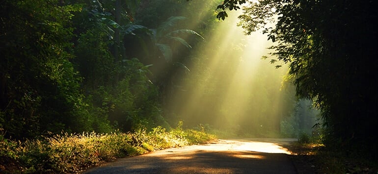 empneysh apotis4eostis5 kathe fora apogohteysai anthropoys diavazeis aytes 20 grammes