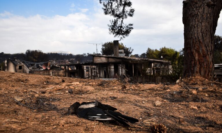 Τους 74 έφτασαν οι νεκροί από την φωτιά στην ανατολική Αττική
