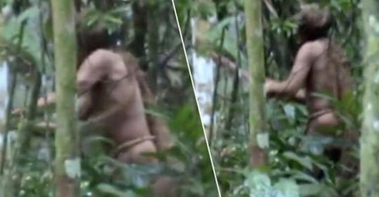 Ο τελευταίος επιζών φυλής του Αμαζονίου ζει μόνος του στη ζούγκλα εδώ και 22 χρόνια