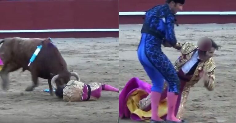 Ταύρος ξεκόλλησε το κρανίο ταυρομάχου σε ταυρομαχία στην Ισπανία
