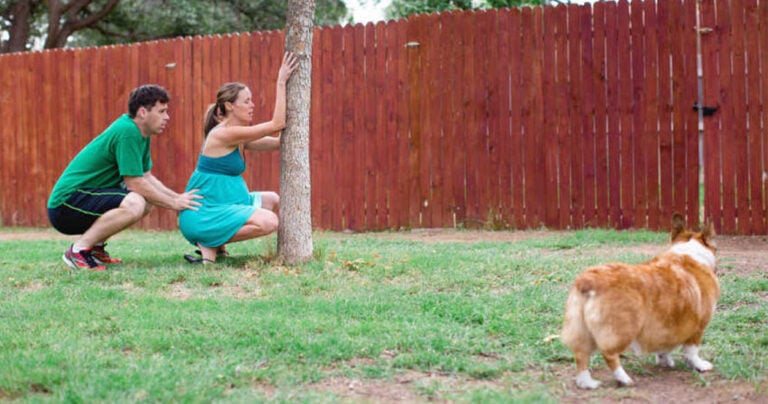 Μητέρα γεννούσε και δεν κατάλαβε ότι ο σκύλος της δεν έφυγε στιγμή από το πλευρό της