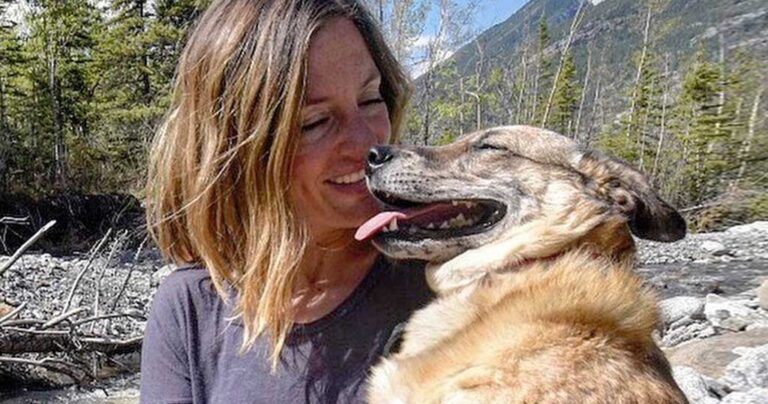 Φωτογράφος μεταμορφώνει σκυλιά σε μοντέλα για να τα υιοθετήσουν πιο γρήγορα