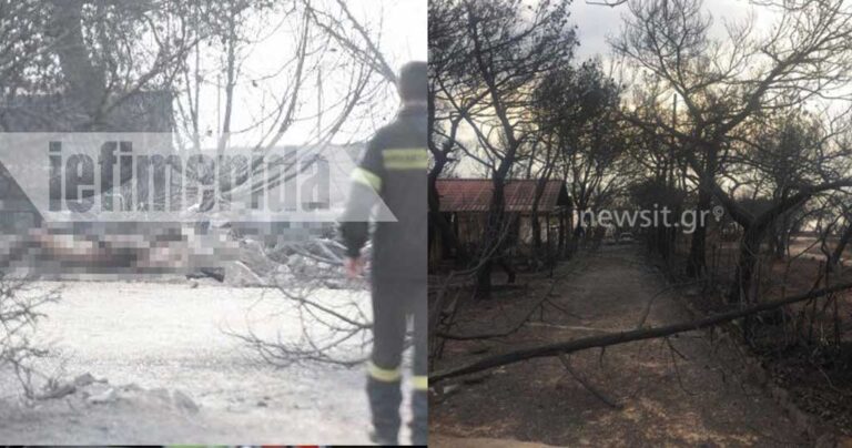 Οικογένειες με παιδιά κάηκαν αγκαλιασμένοι σε κτήμα στο Κόκκινο Λιμανάκι