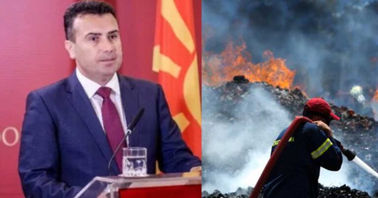 Ζάεφ: «Προσφέρουμε βοήθεια 97.000 ευρώ στην Ελλάδα για τις καταστροφικές φωτιές»