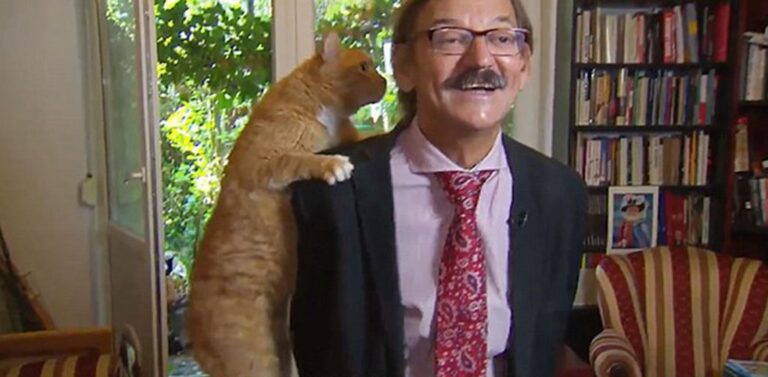 Γάτα διέκοψε την ζωντανή συνέντευξη ενός καθηγητή που έδινε στην τηλεόραση