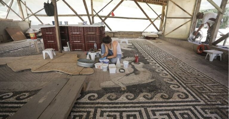 Tο ψηφιδωτό στις Αιγές της Βεργίνας αποκαλύπτεται και προκαλεί δέος