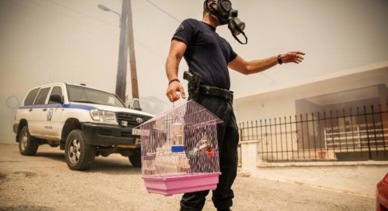 Αστυνομικός κρατάει πουλάκι στο κλουβί του που έσωσε από την πυρκαγιά