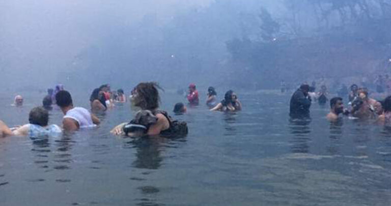 Συγκλονιστικό ντοκουμέντο – Άνθρωποι στη θάλασσα την ώρα της φωτιάς στο Μάτι